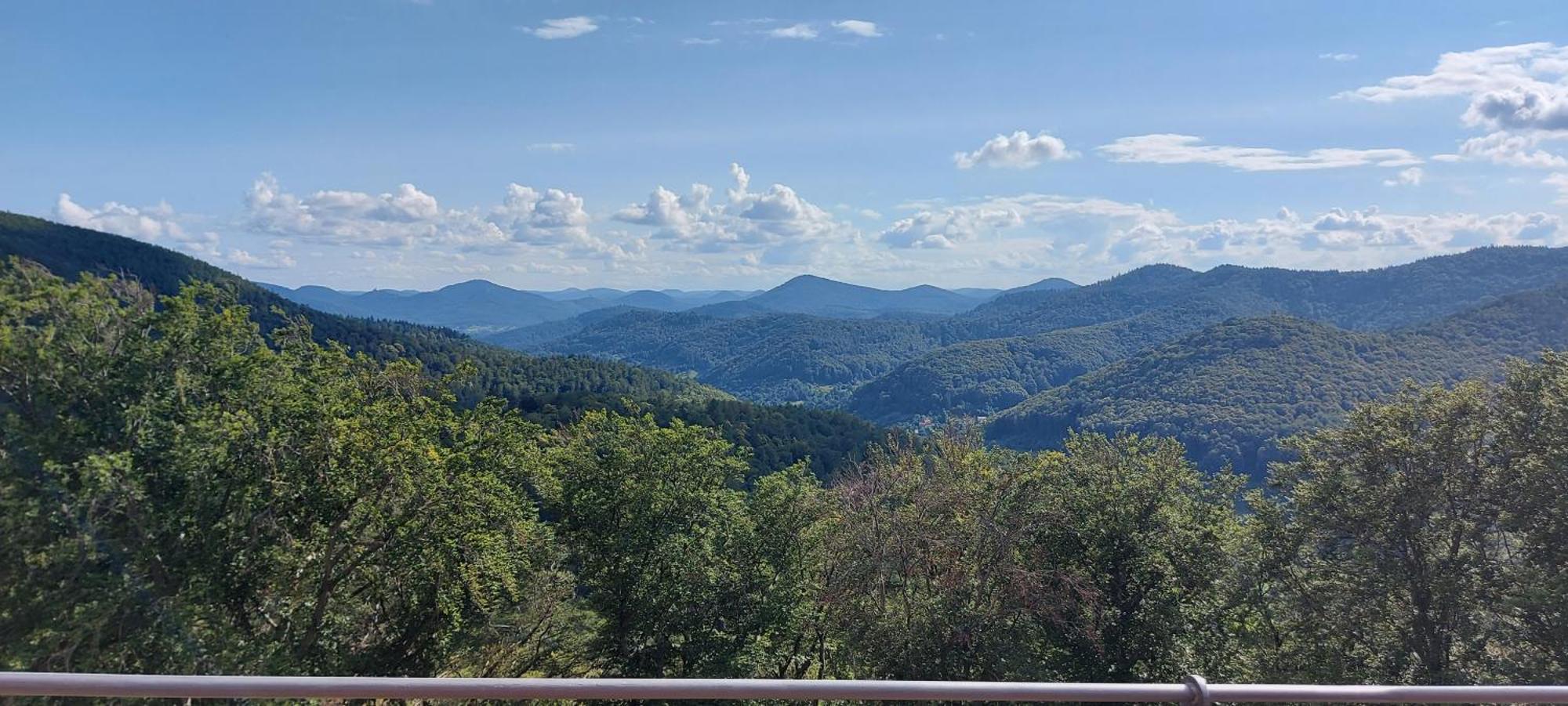 Ferienwohnung Waldliebe Hinterweidenthal المظهر الخارجي الصورة